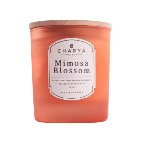 MIMOSA BLOSSOM